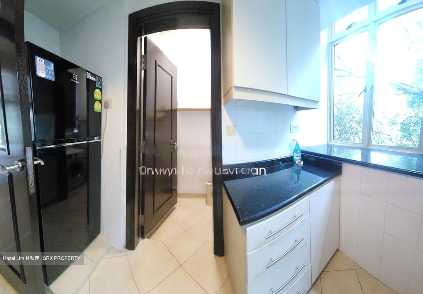 Jervois Regency (D10), Apartment #593836771